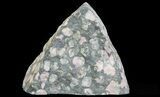 Polished Porphyry Section (Free-Standing) - Western Australia #64790-3